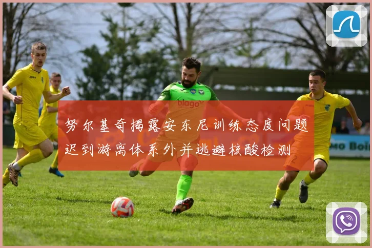 努尔基奇揭露安东尼训练态度问题迟到游离体系外并逃避核酸检测